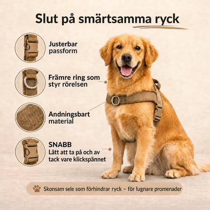 Antidragsele för hund