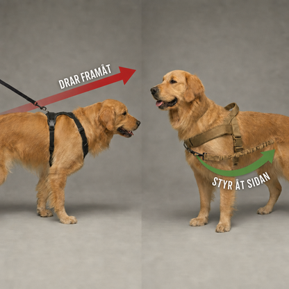 Antidragsele för hund