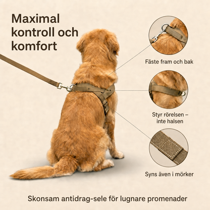 Antidragsele för hund