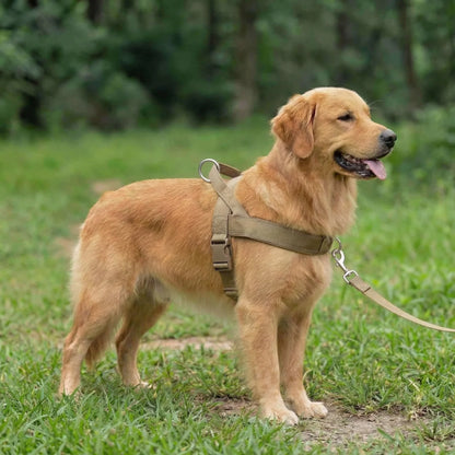 Antidragsele för hund